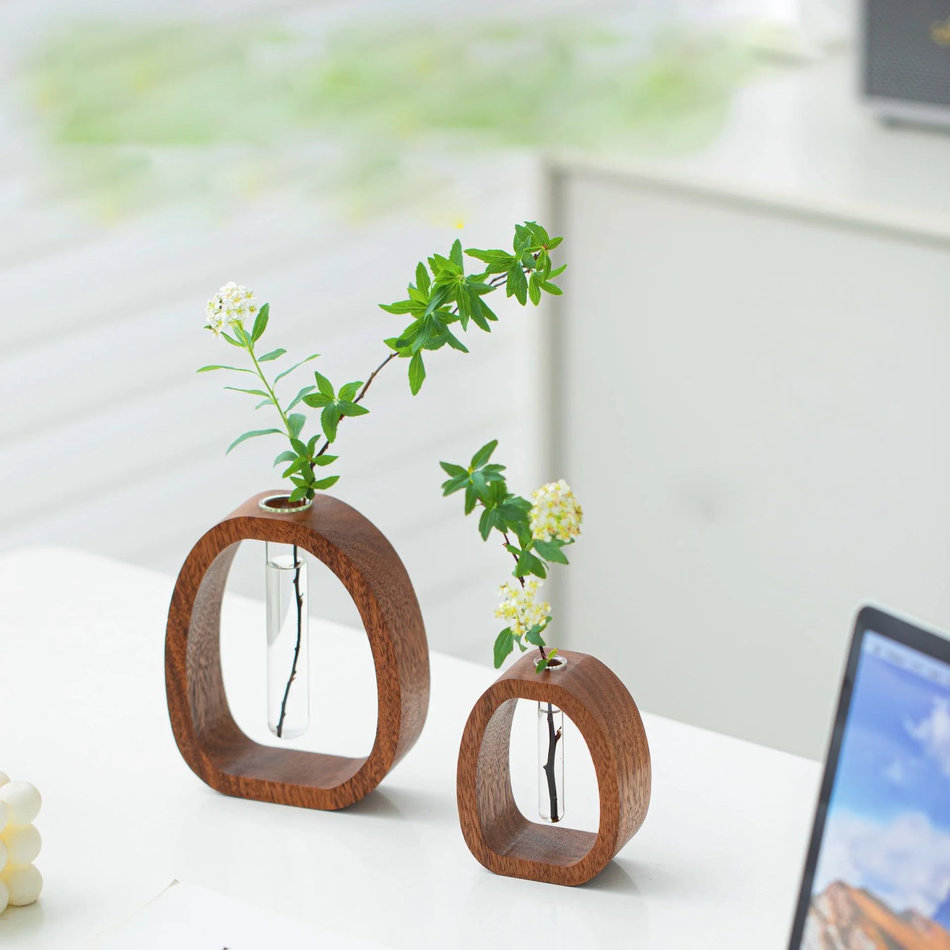 Wooden Glass Flower Vase Hydroponic Flower Hydroponics Water